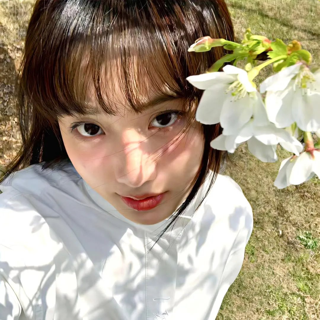 恋上女镖师